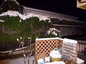 2012.1.23.snow2 001.jpgB1.jpg